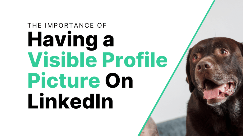 The Importance of Having a Visible Profile Picture on LinkedIn Featured Image