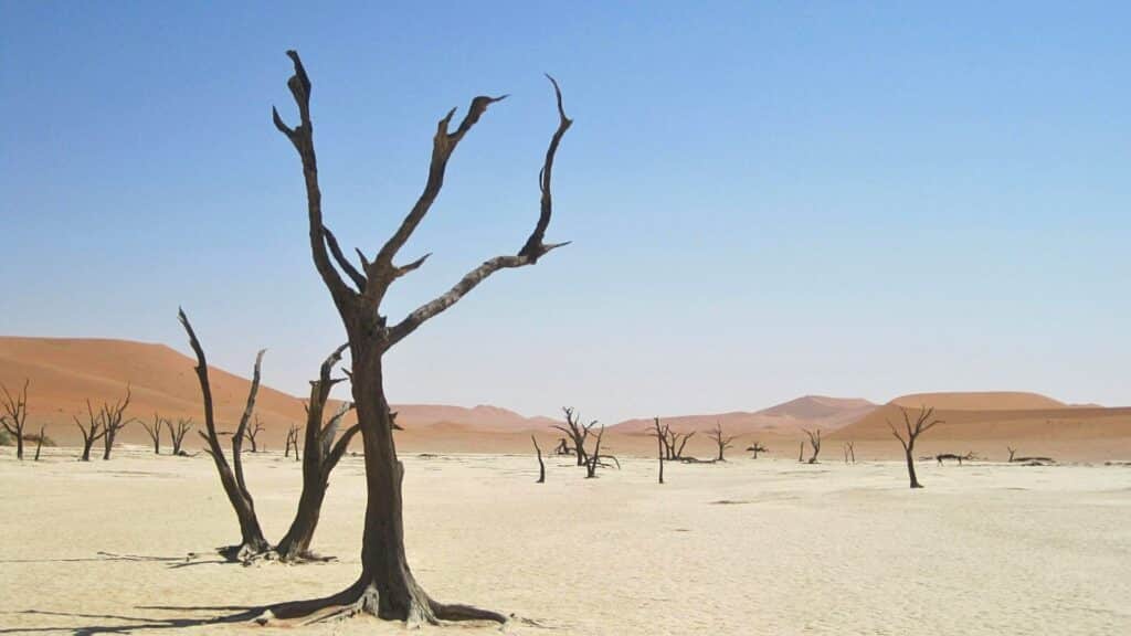 Why Do Marketing Leads (MQLs) Rarely Convert?