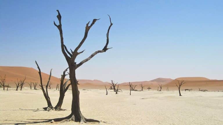 MQL to SQL Conversion: Why Your Marketing Leads Aren't Closing